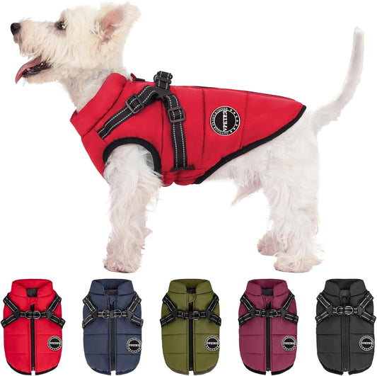 PawfectFit WeatherGuard Dog Jacket